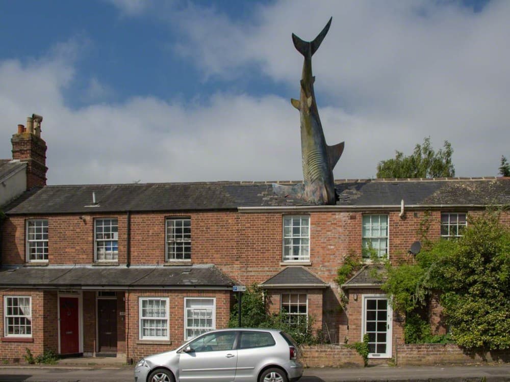 Headington Shark