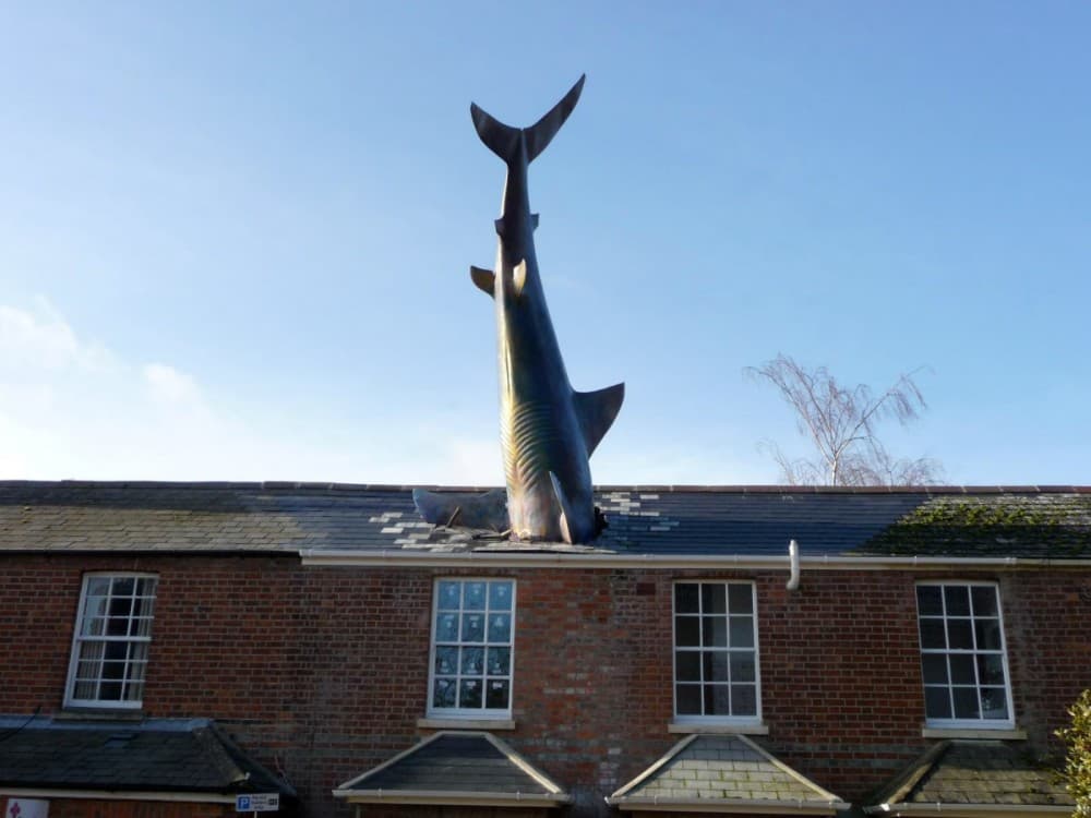 Headington Shark