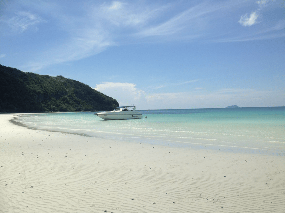 What Are All Things to Do in Pattaya?