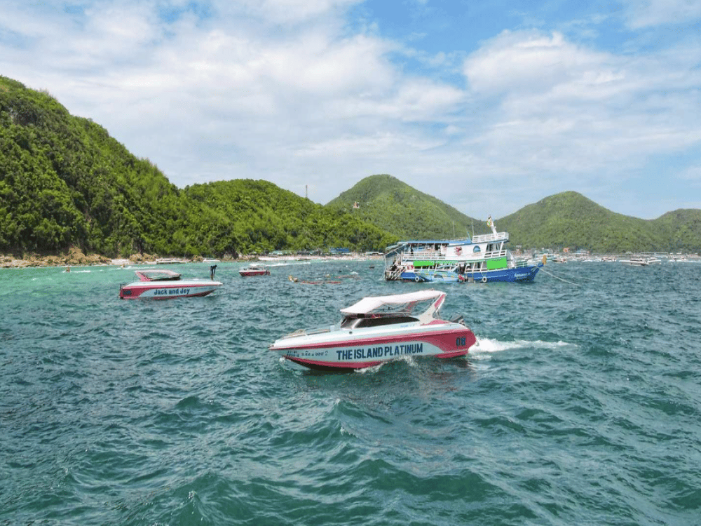 What Should We Do in Pattaya?