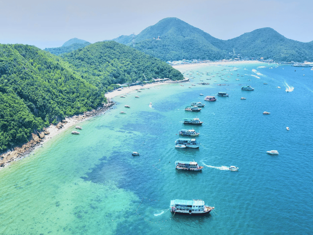 What Should We Do in Pattaya?