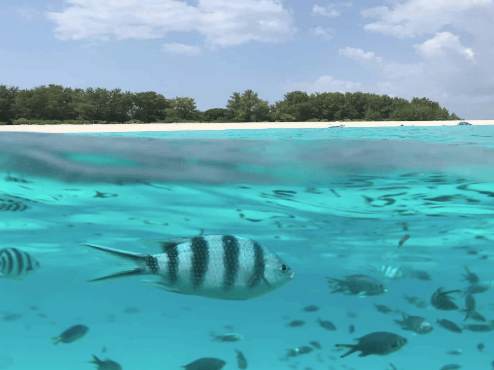 What Activities Can Be Done in Zanzibar?