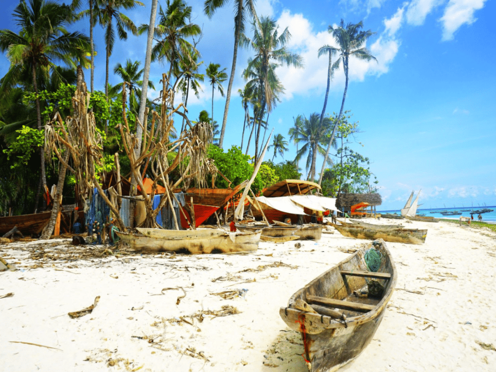What’s the Best Month to Go to Zanzibar?