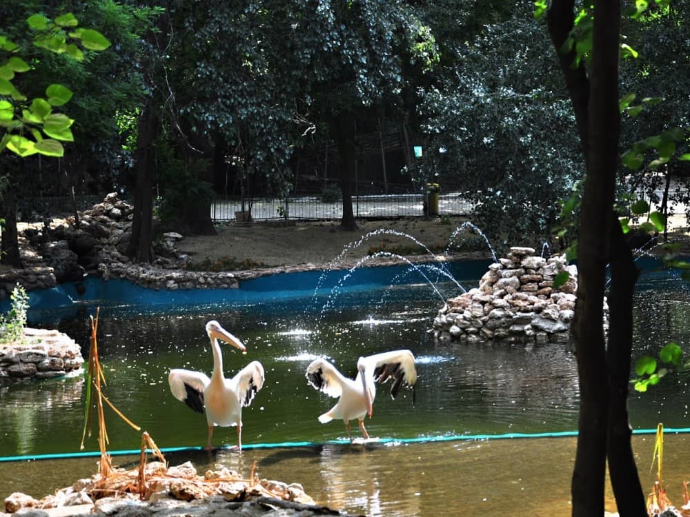 Varna Zoo