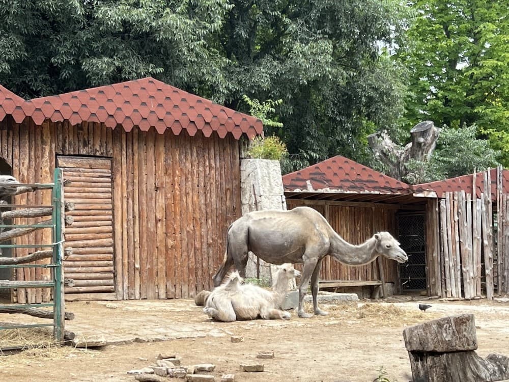 Varna Zoo