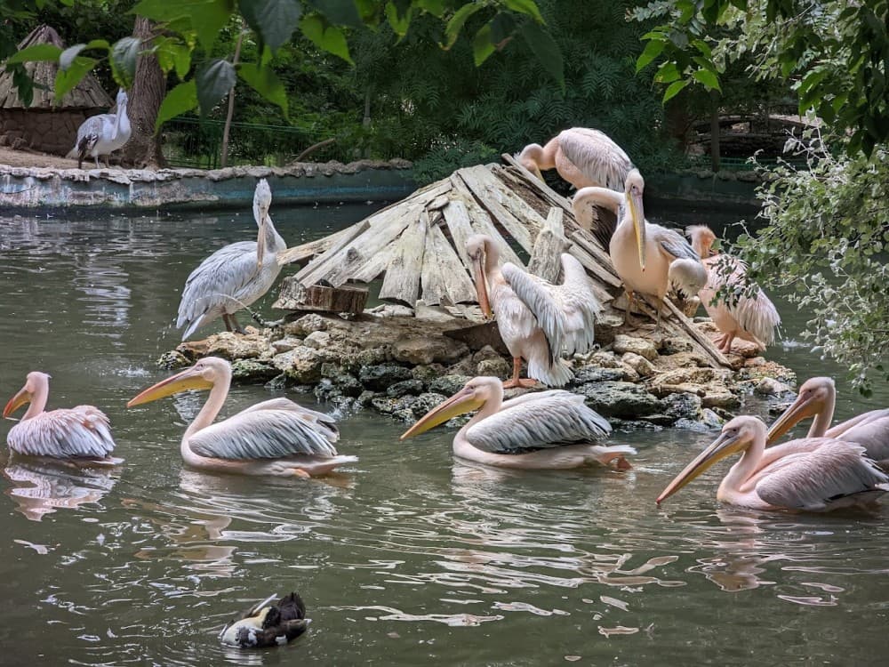 Varna: Varna Zoo | ®ExcursionMania