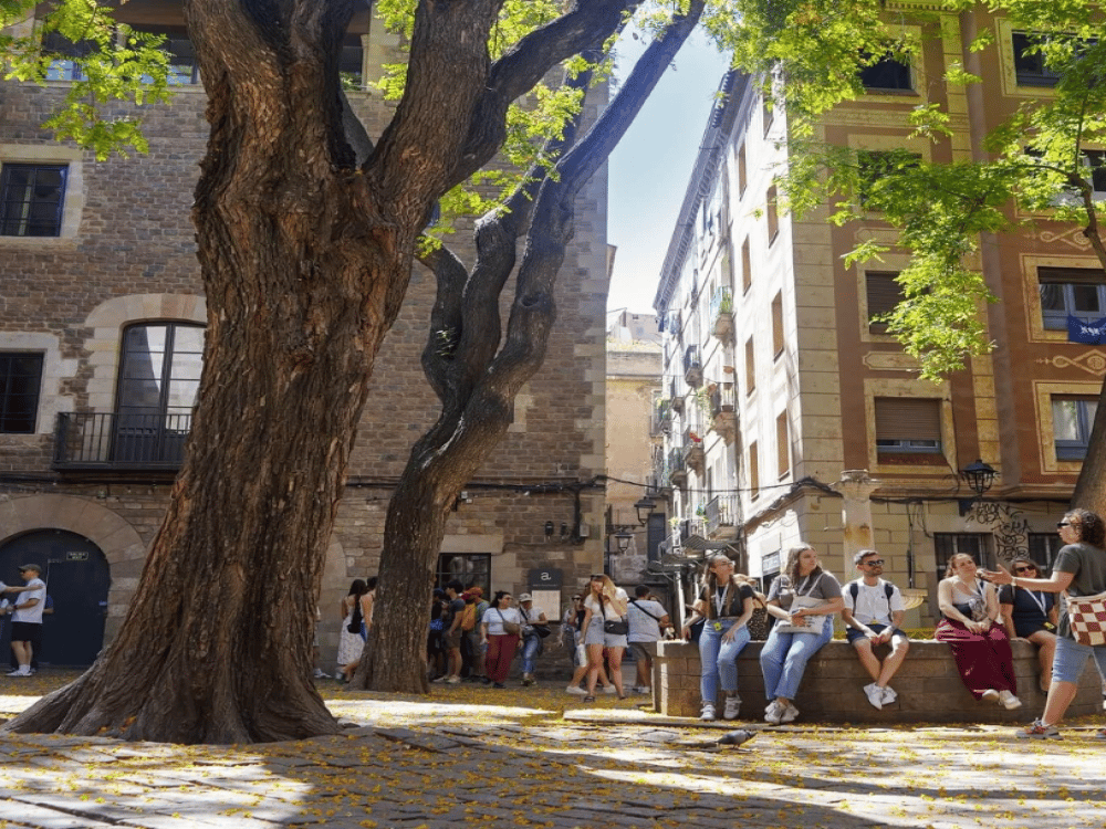 What Are the Top Five Things to Do in Barcelona?