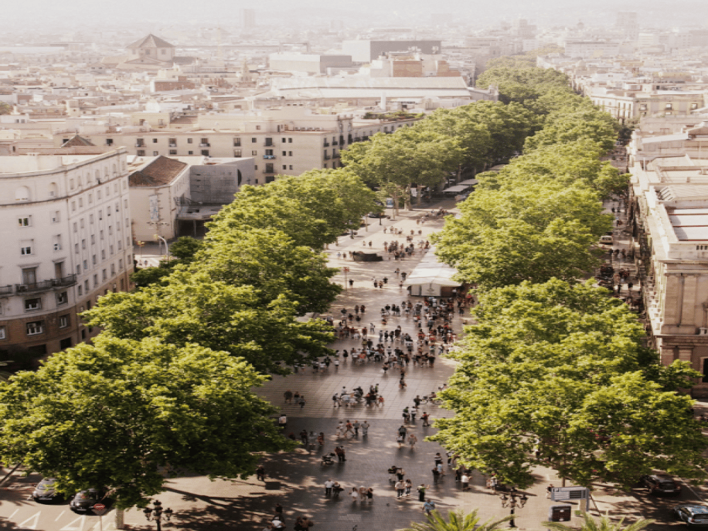 Barselona: Is Barcelona a Walkable City? | ®ExcursionMania