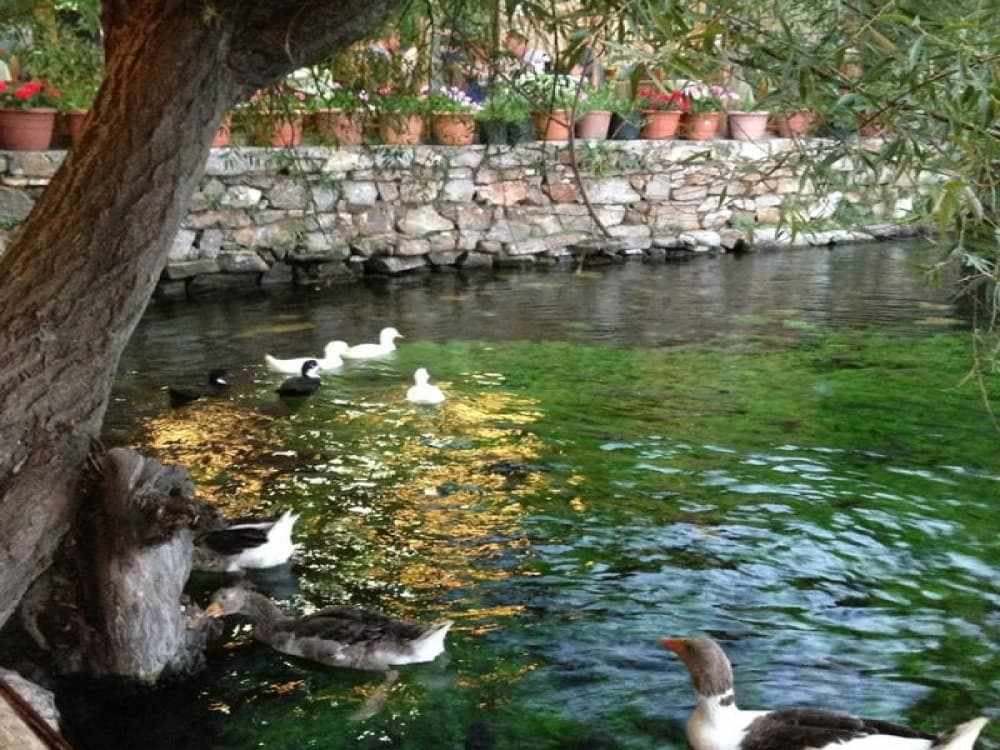 Discovering Akyaka’s Culinary Charm