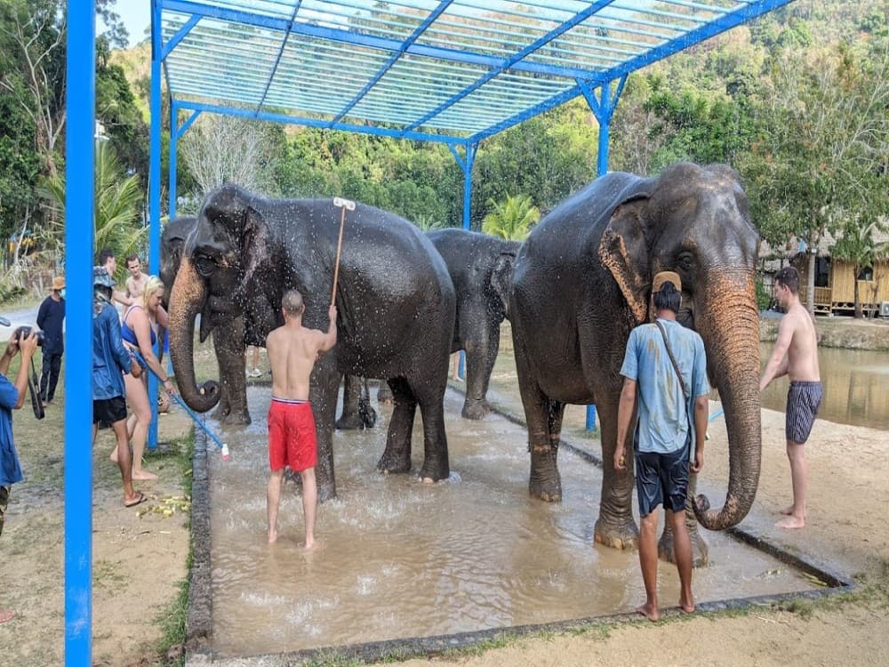 Green Elephant Sanctuary Park