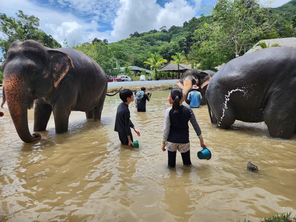 Green Elephant Sanctuary Park