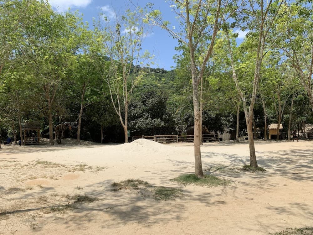 Green Elephant Sanctuary Park