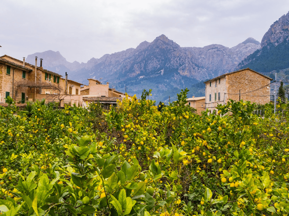 What Are the Best Day Trips from Mallorca?