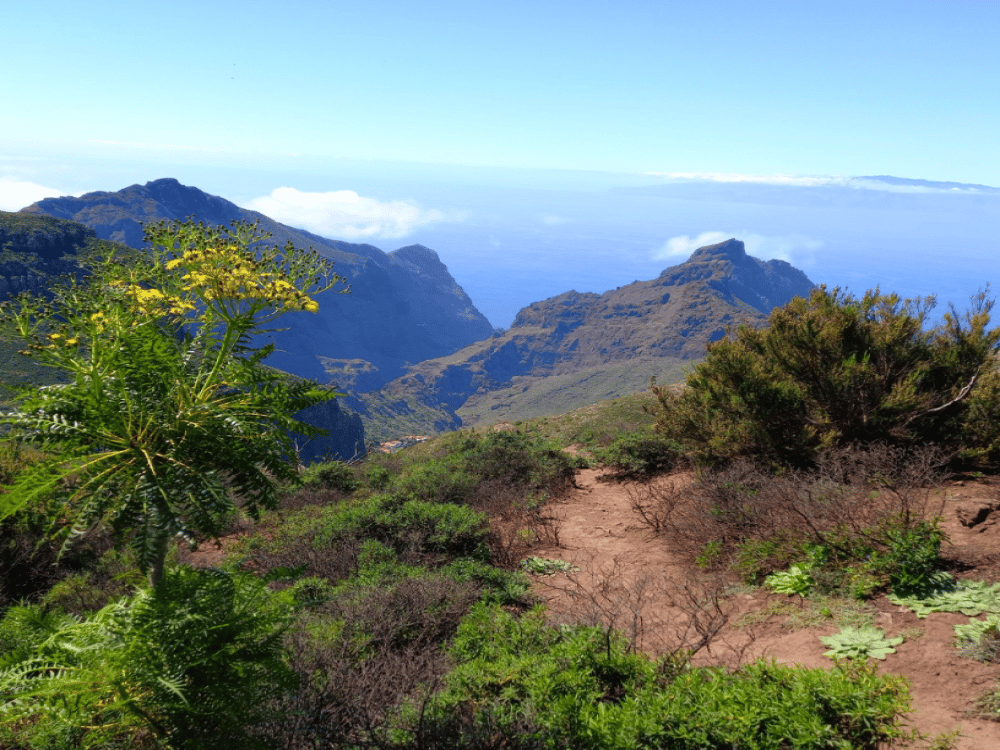 What Are the Best Day Trips from Tenerife?