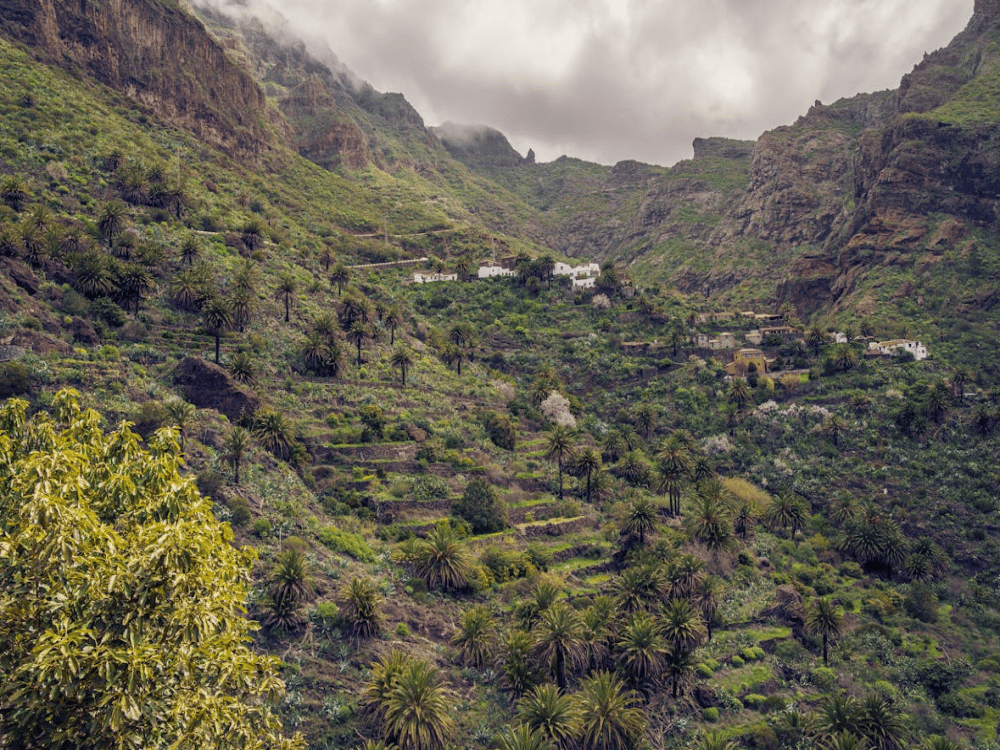 Tenerife: What Are the Best Day Trips from Tenerife? | ®ExcursionMania