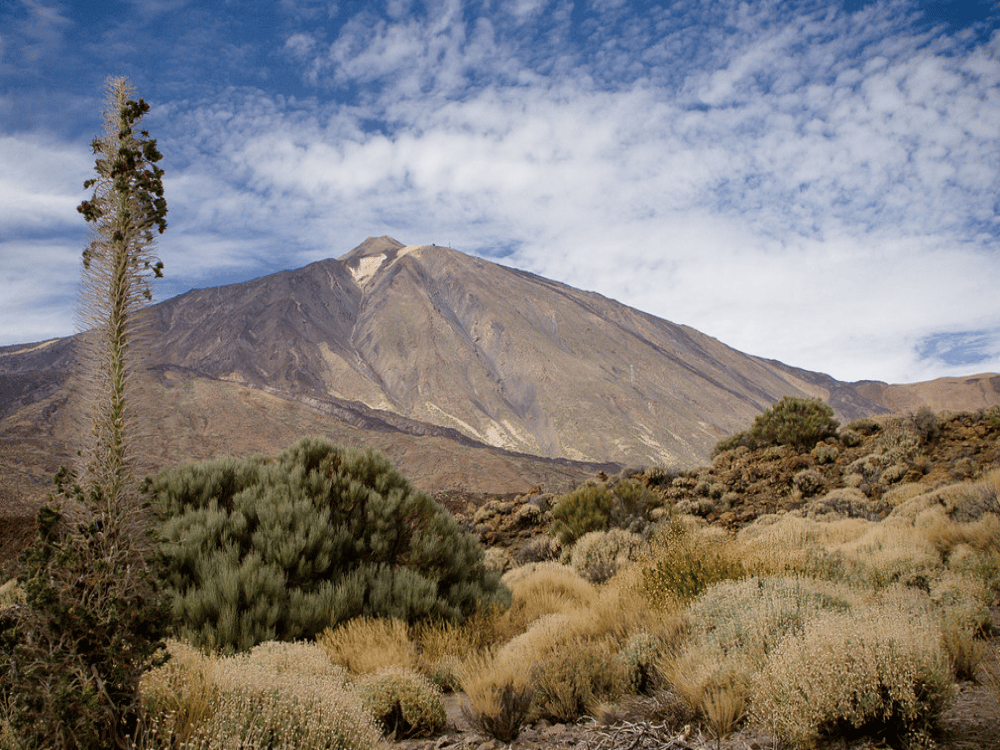 What Are the Best Day Trips from Tenerife?