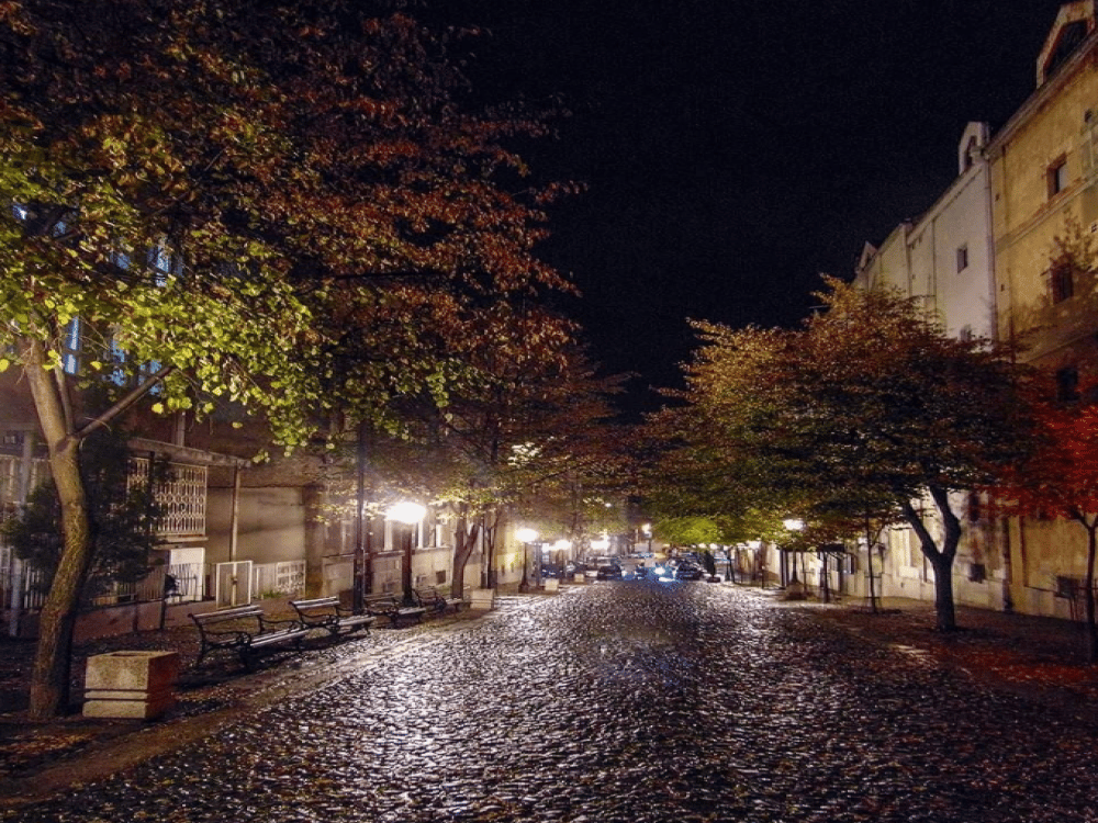 What Is the Best Month to Visit Belgrade?