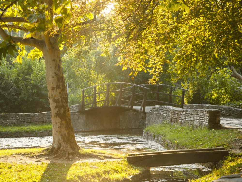 What Is the Best Month to Visit Belgrade?