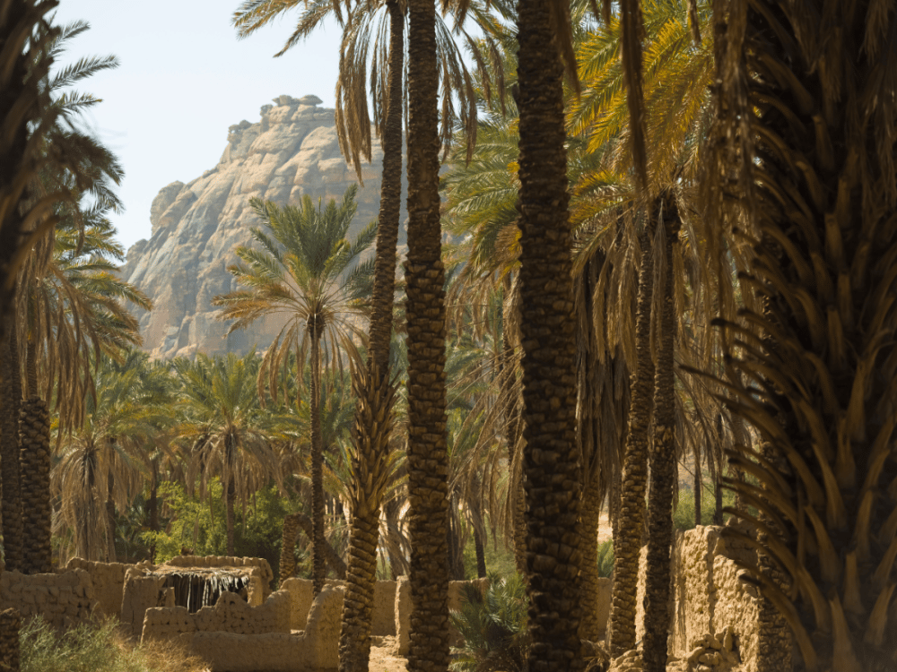 What Should I See in AlUla?