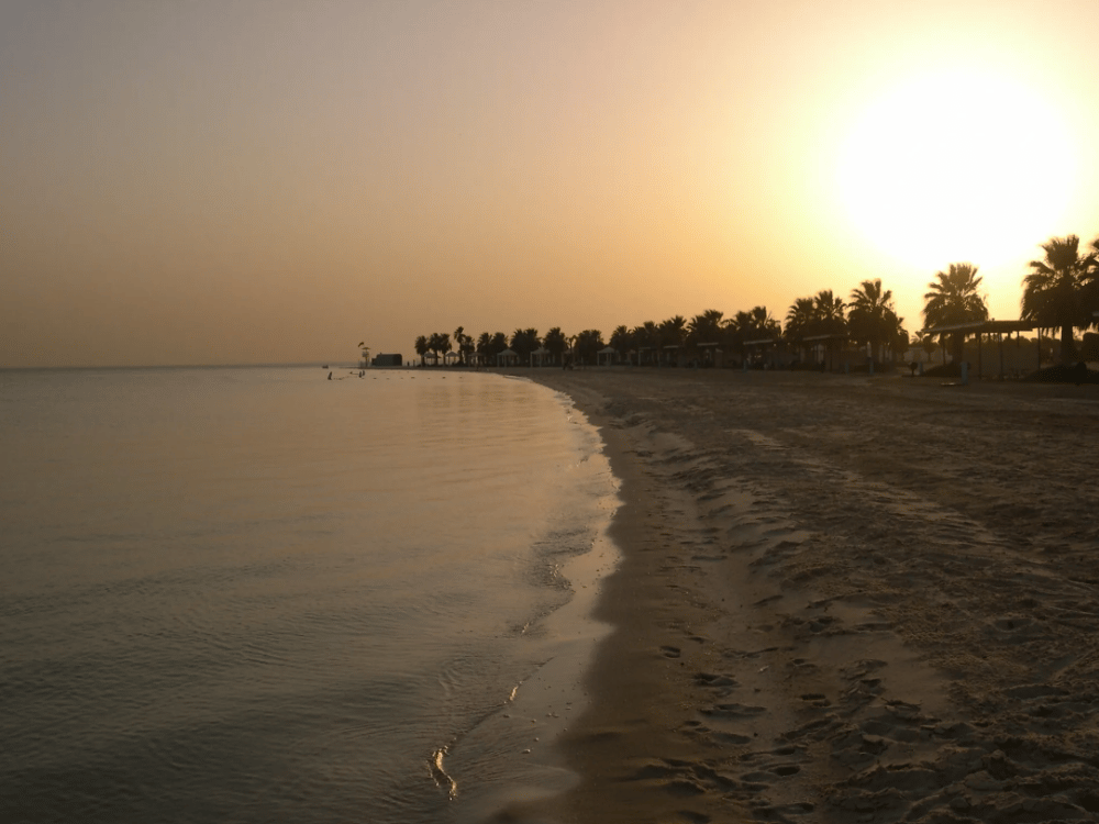 What to Do in Dammam?