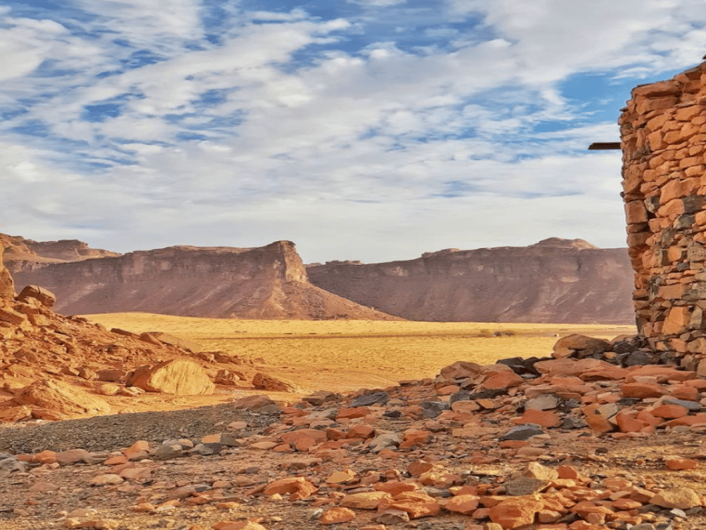 What Are the Best Day Trips from Jeddah?