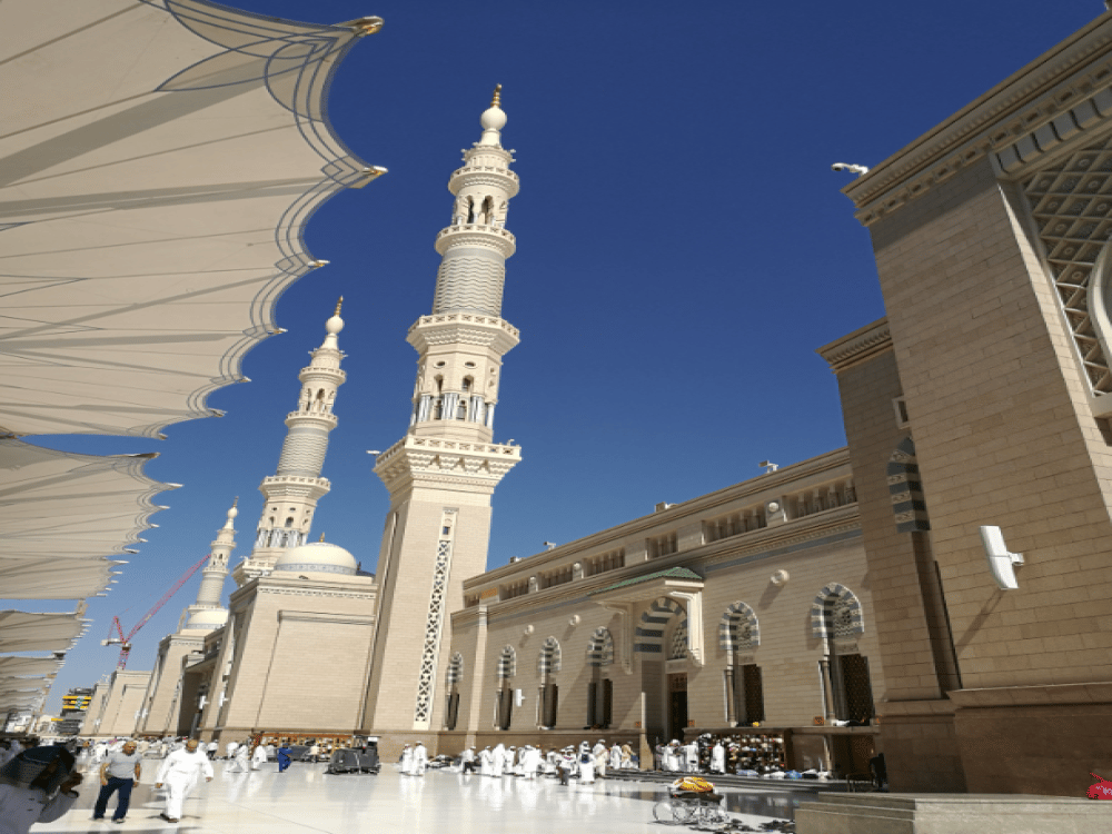 What Should We Do in Medina?