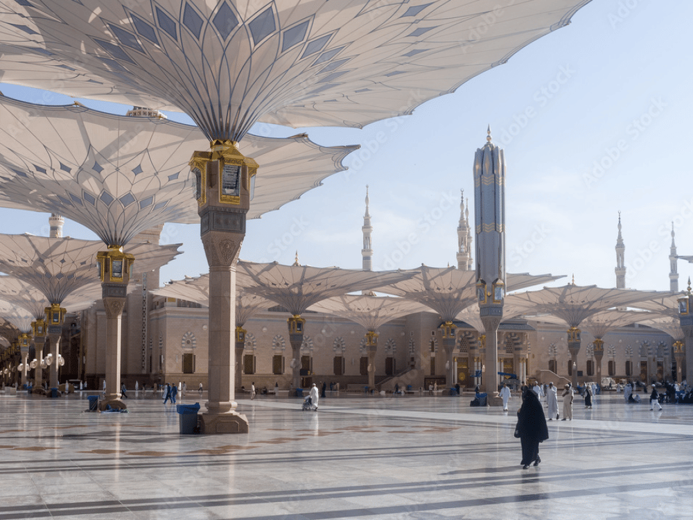 What Should We Do in Medina?