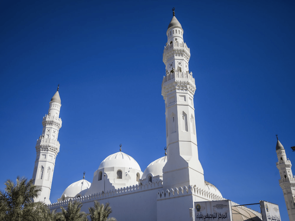 What Should We Do in Medina?