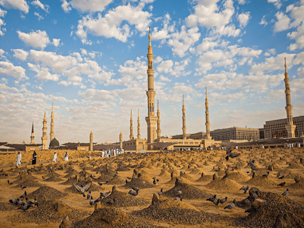 What Should We Do in Medina?