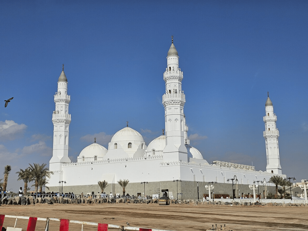 What Should We Do in Medina?