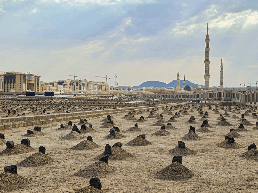 What Should We Do in Medina?