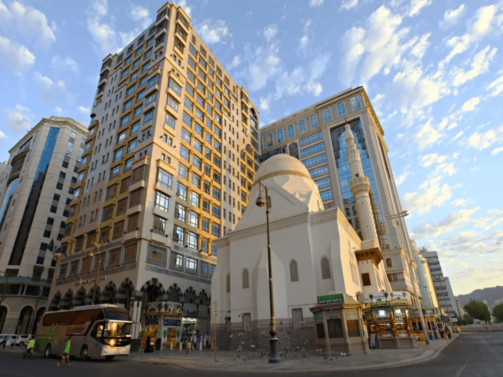 What Are the Best Day Trips from Medina?