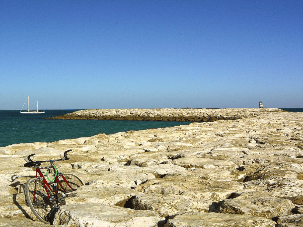 What Not to Miss in Lagos, Portugal?