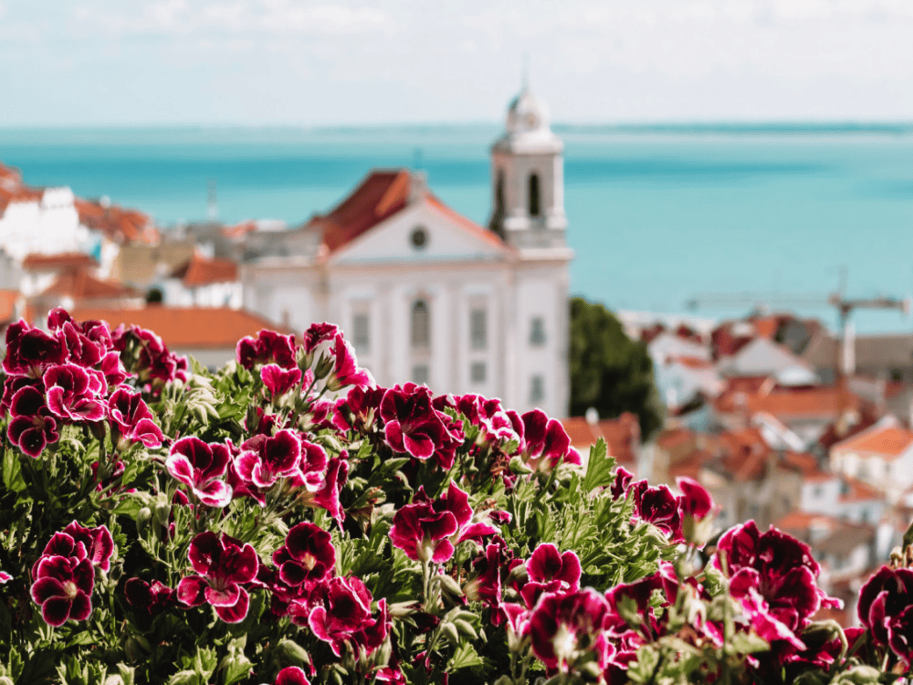 What Is the Best Month to Visit Lisbon?