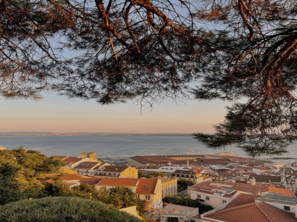 What Not to Miss When Visiting Lisbon?
