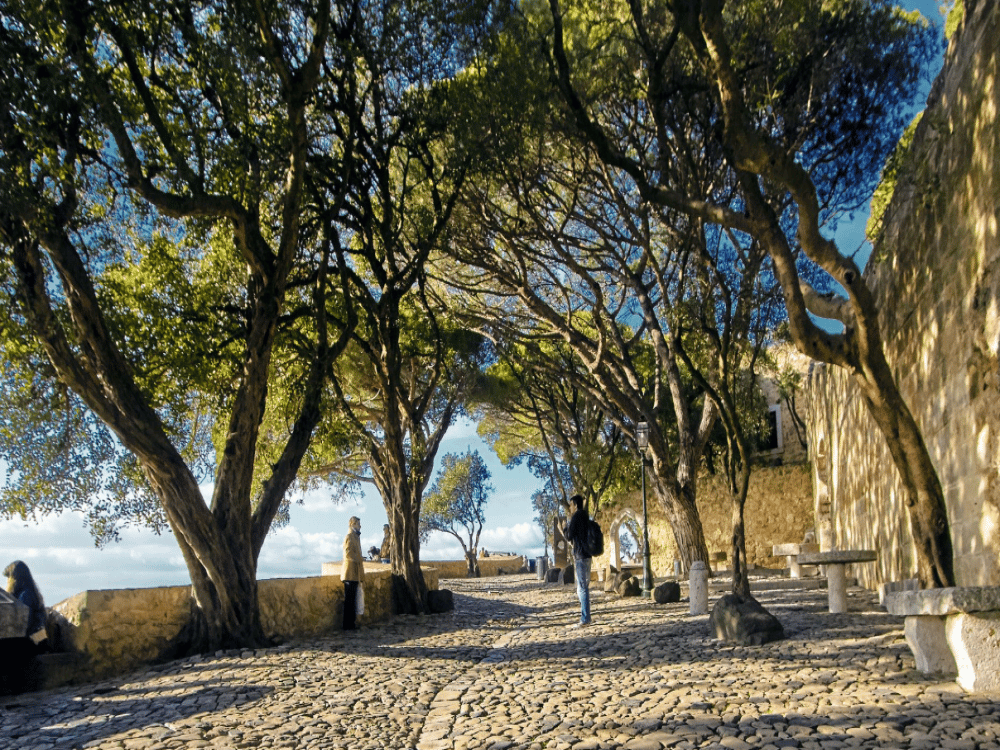 What Is the Prettiest Street in Lisbon?