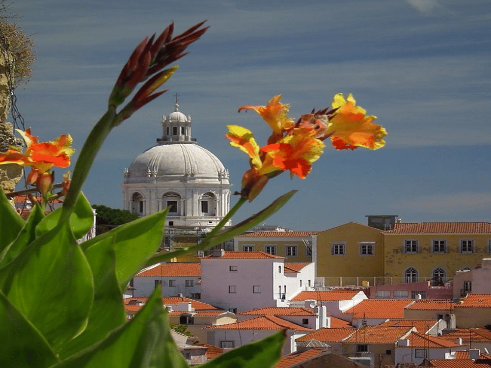 How to Spend a Day in Lisbon?