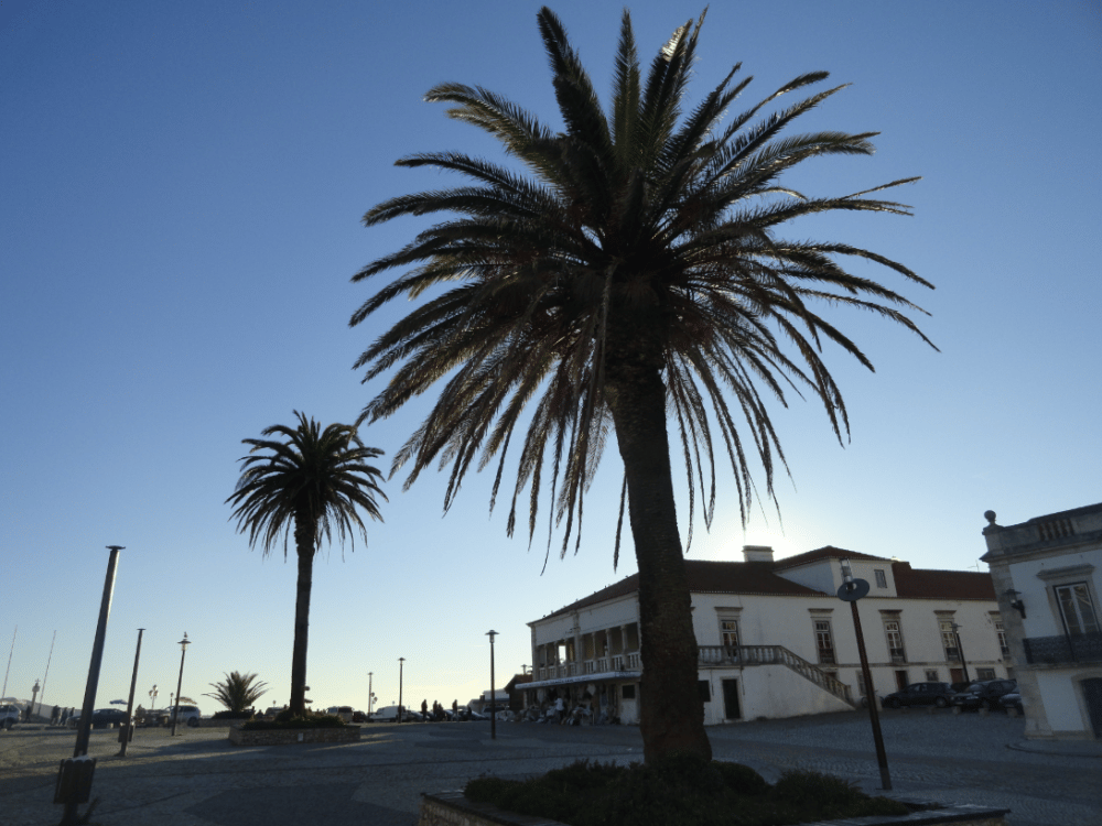 How to Spend a Day in Lisbon?