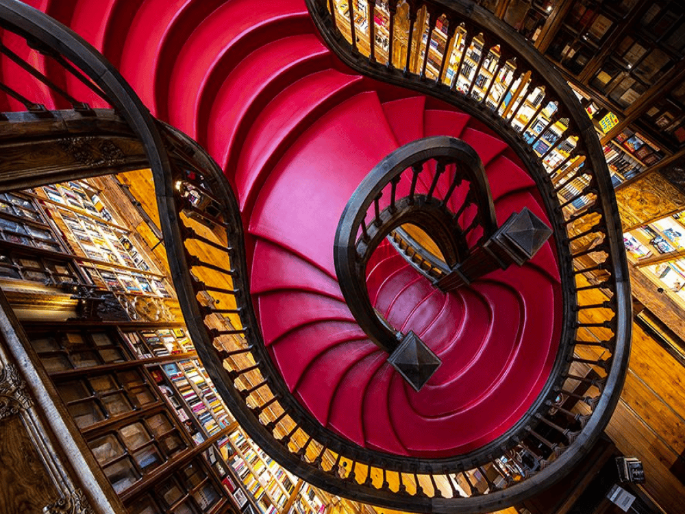 What Should I Not Miss in Porto?