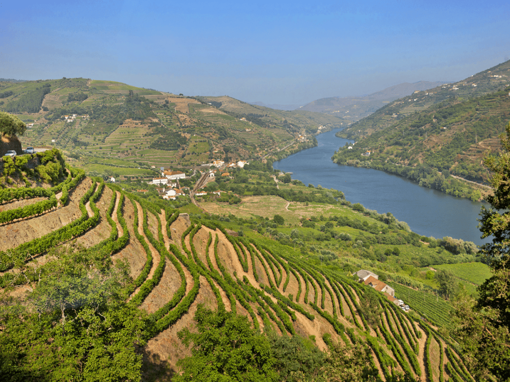 What Is Porto Famous For?