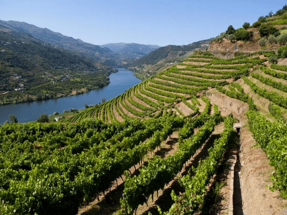 What Is Porto Famous For?