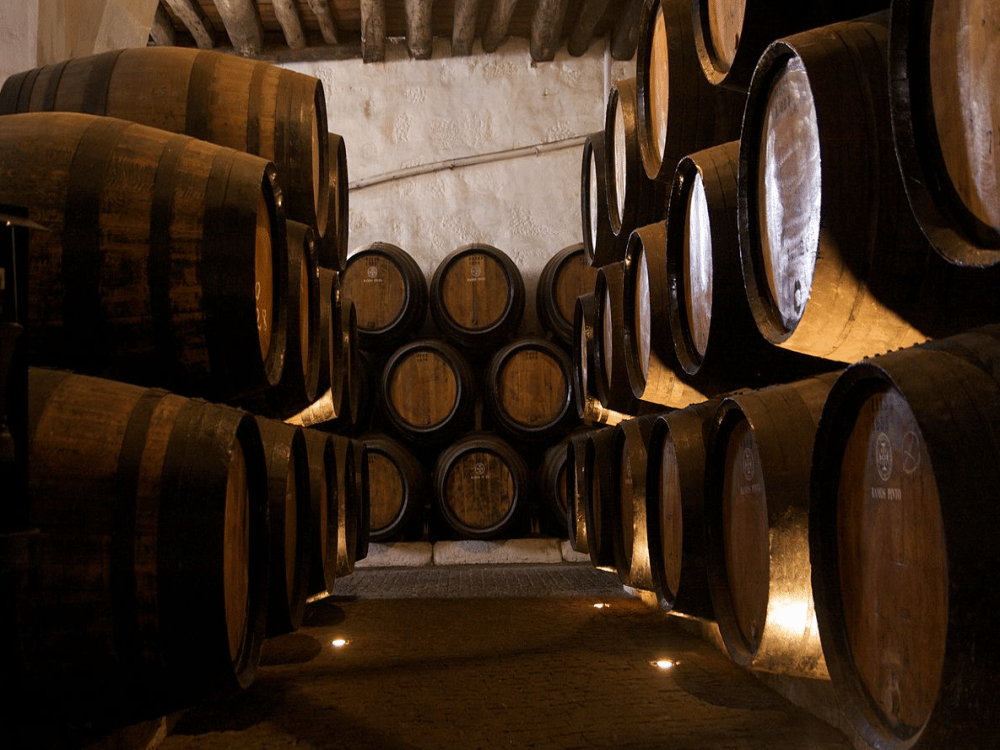 What Are the Top Five Things to Do in Porto?