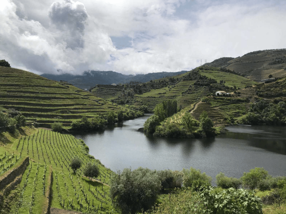 What Are the Best Day Trips from Porto?