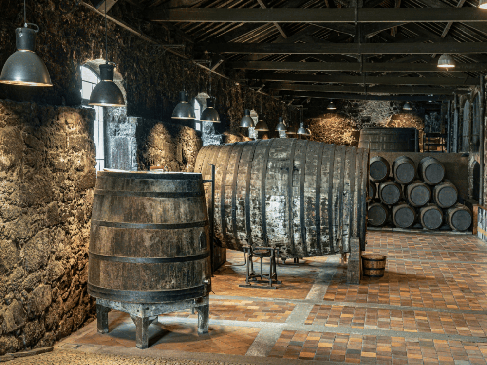 What Things Is Porto Known For?