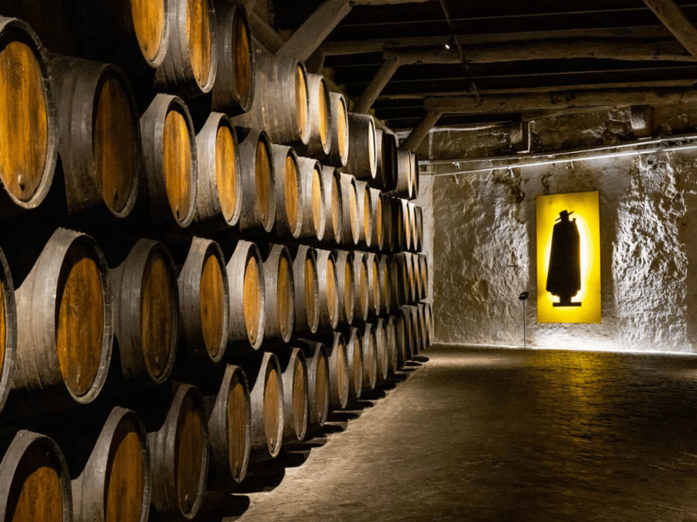 Porto: What Things Is Porto Known For? | ®ExcursionMania