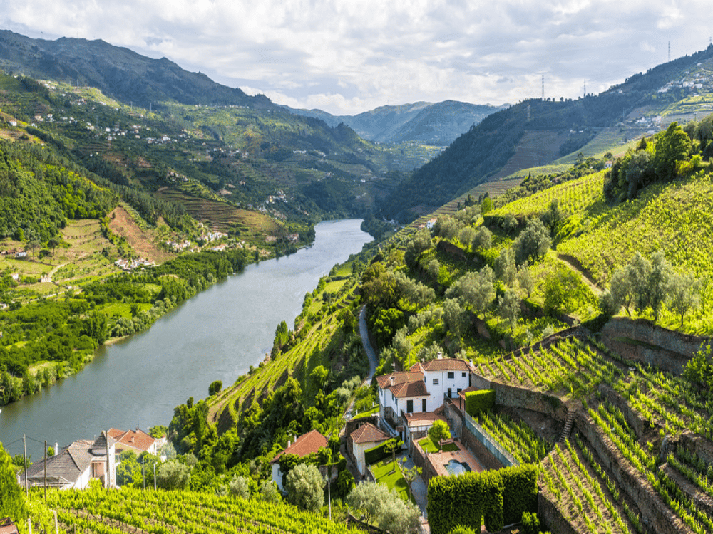 Is Porto Worth Visiting?