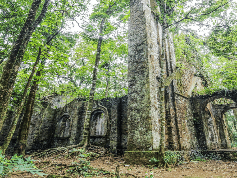 What Are the Best Day Trips from Hanoi?