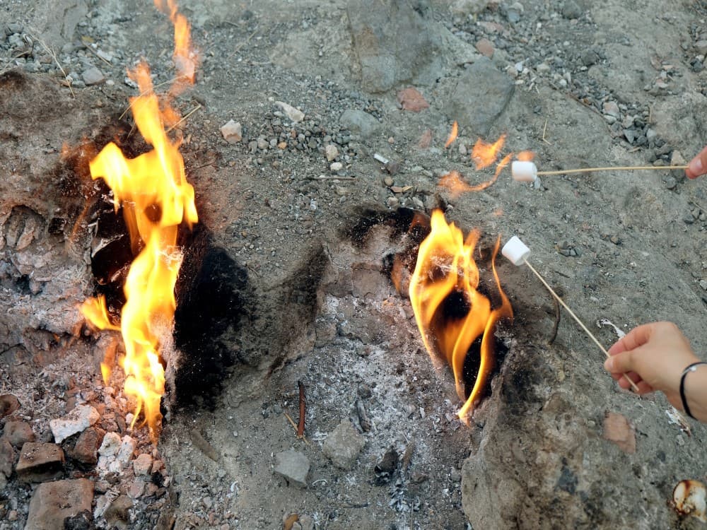 What Makes Olympos a Hidden Gem on Turkey’s Turquoise Coast?