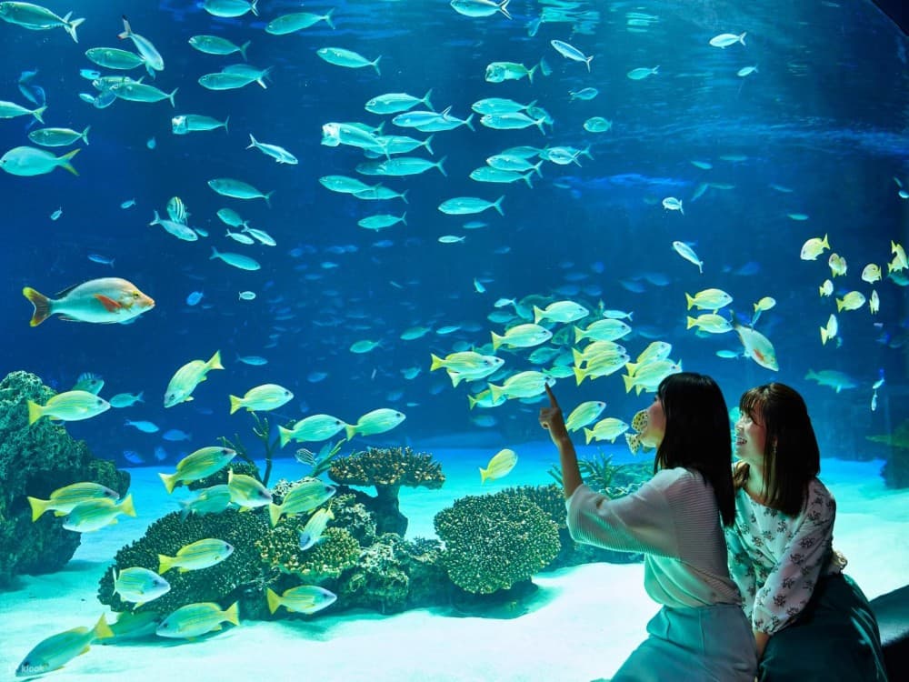  Antalya Aquarium