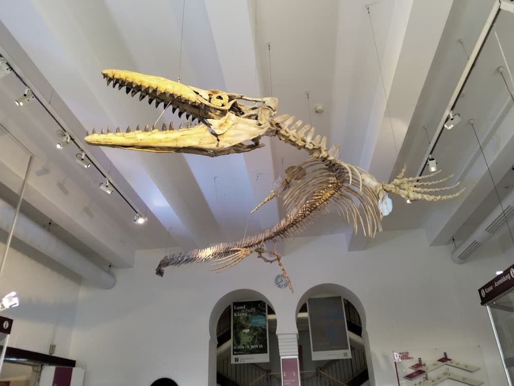 Museum of Man and Nature